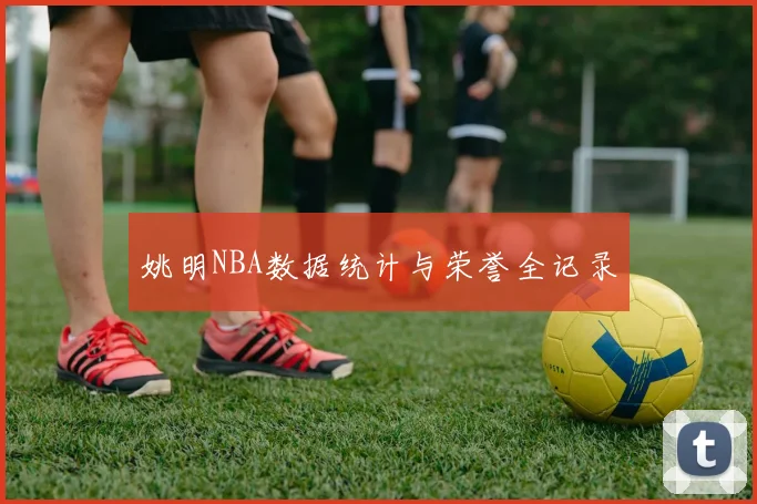 姚明NBA数据统计与荣誉全记录