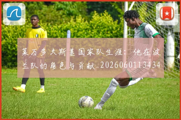 莱万多夫斯基国家队生涯:他在波兰队的角色与贡献_20260601134348_20260703181759